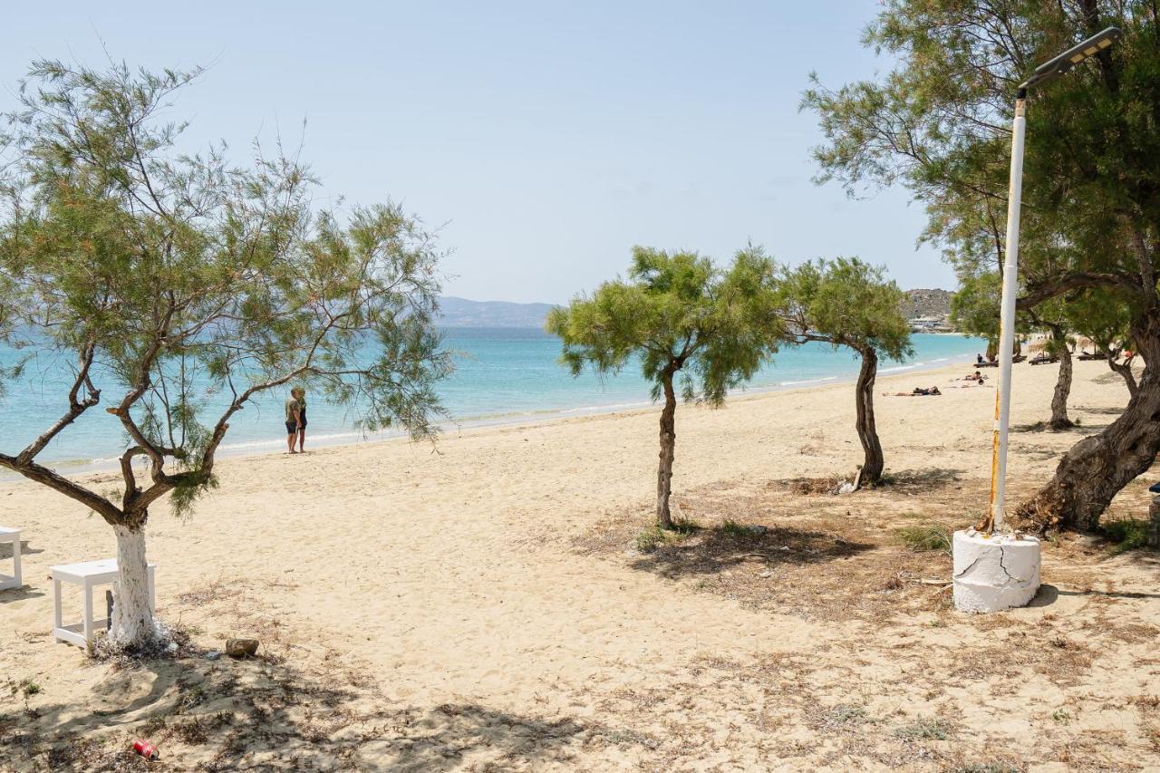 Flerianos Studios Naxos Агиос-Прокопиос Экстерьер фото