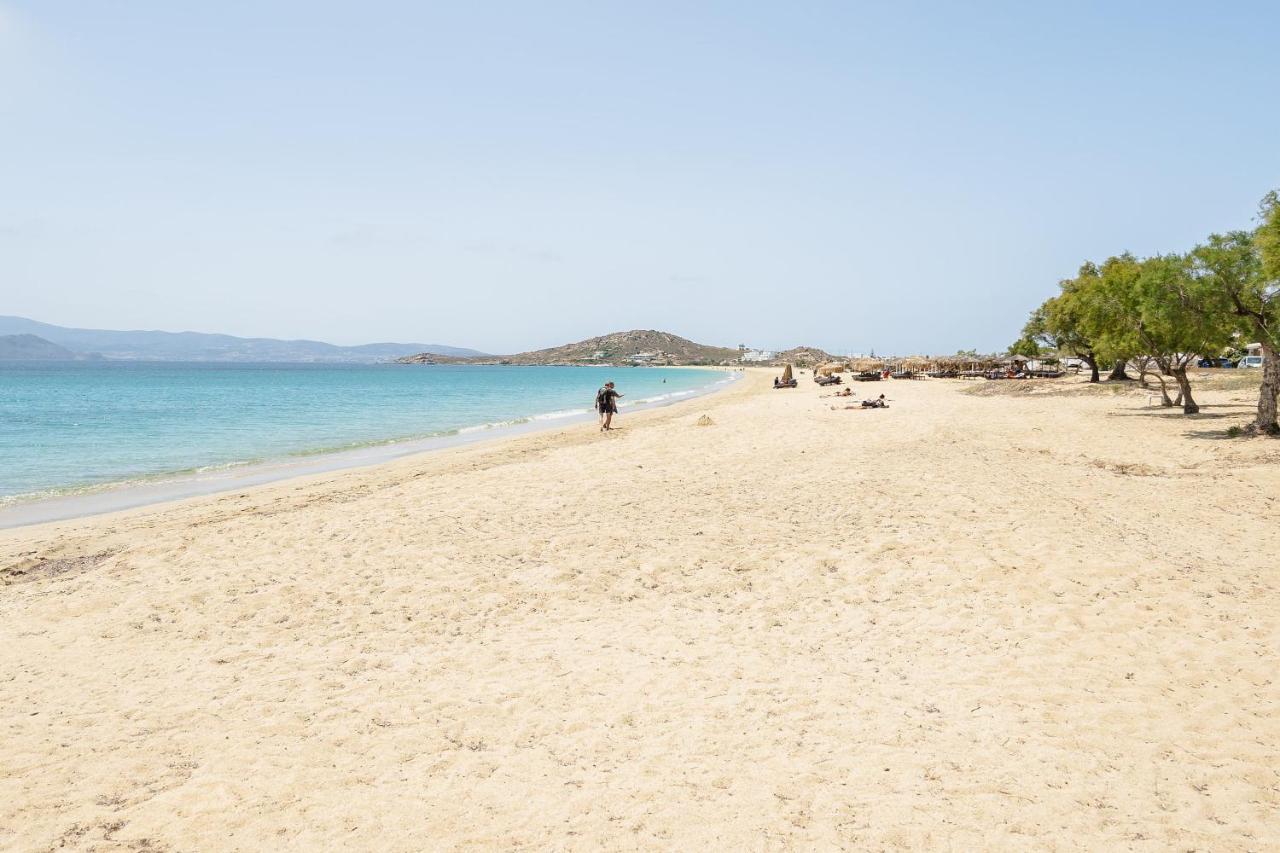 Flerianos Studios Naxos Агиос-Прокопиос Экстерьер фото